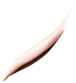 Giorgio Armani Eyeliner Eyes To Kill