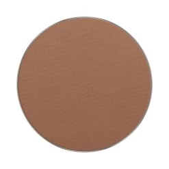 Polvos Compactos Freedom System Perfect Finish